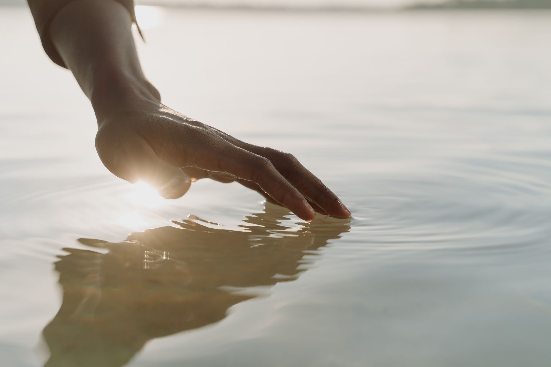 Photo by cottonbro studio on Unsplash