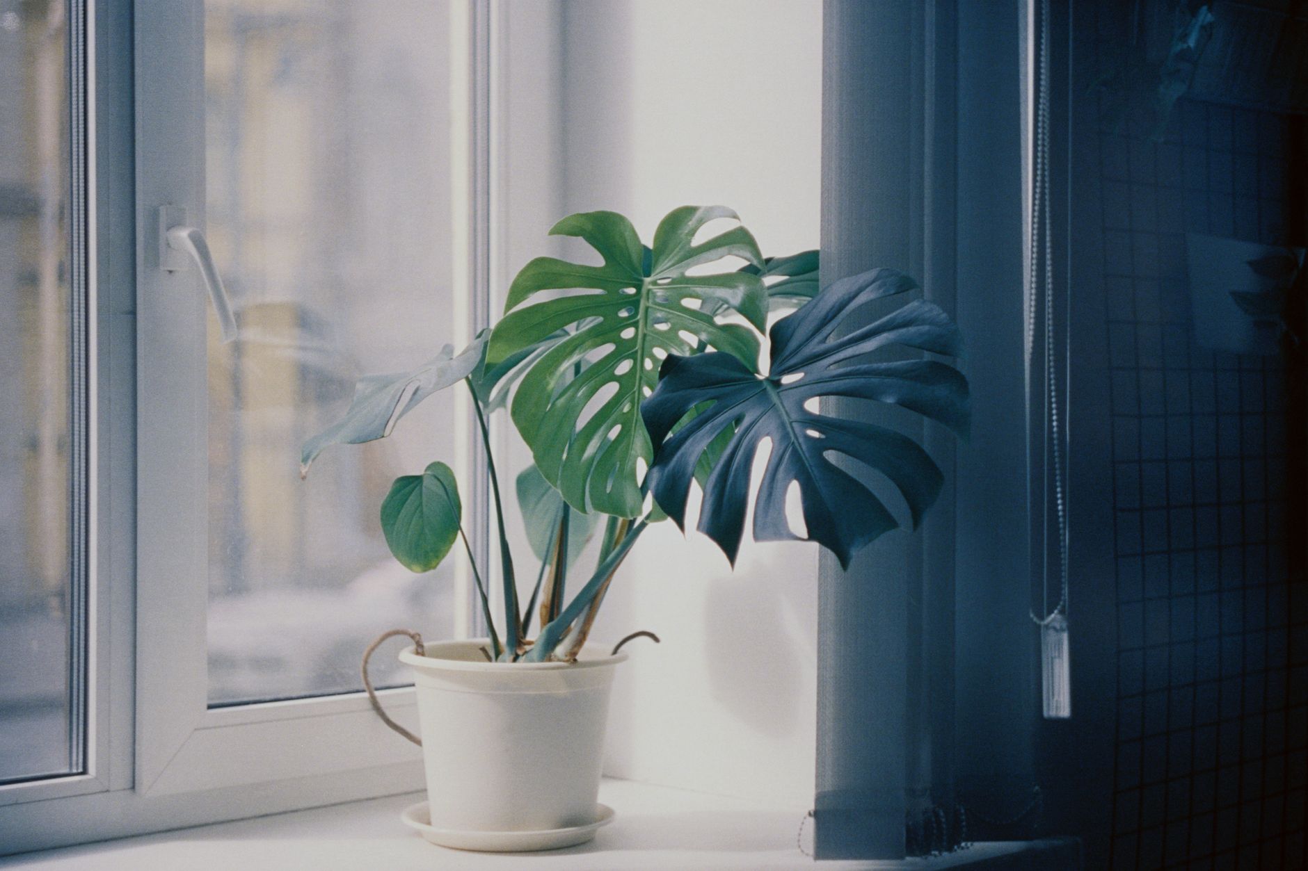 UnsplashのElena Golovchenkoによる写真