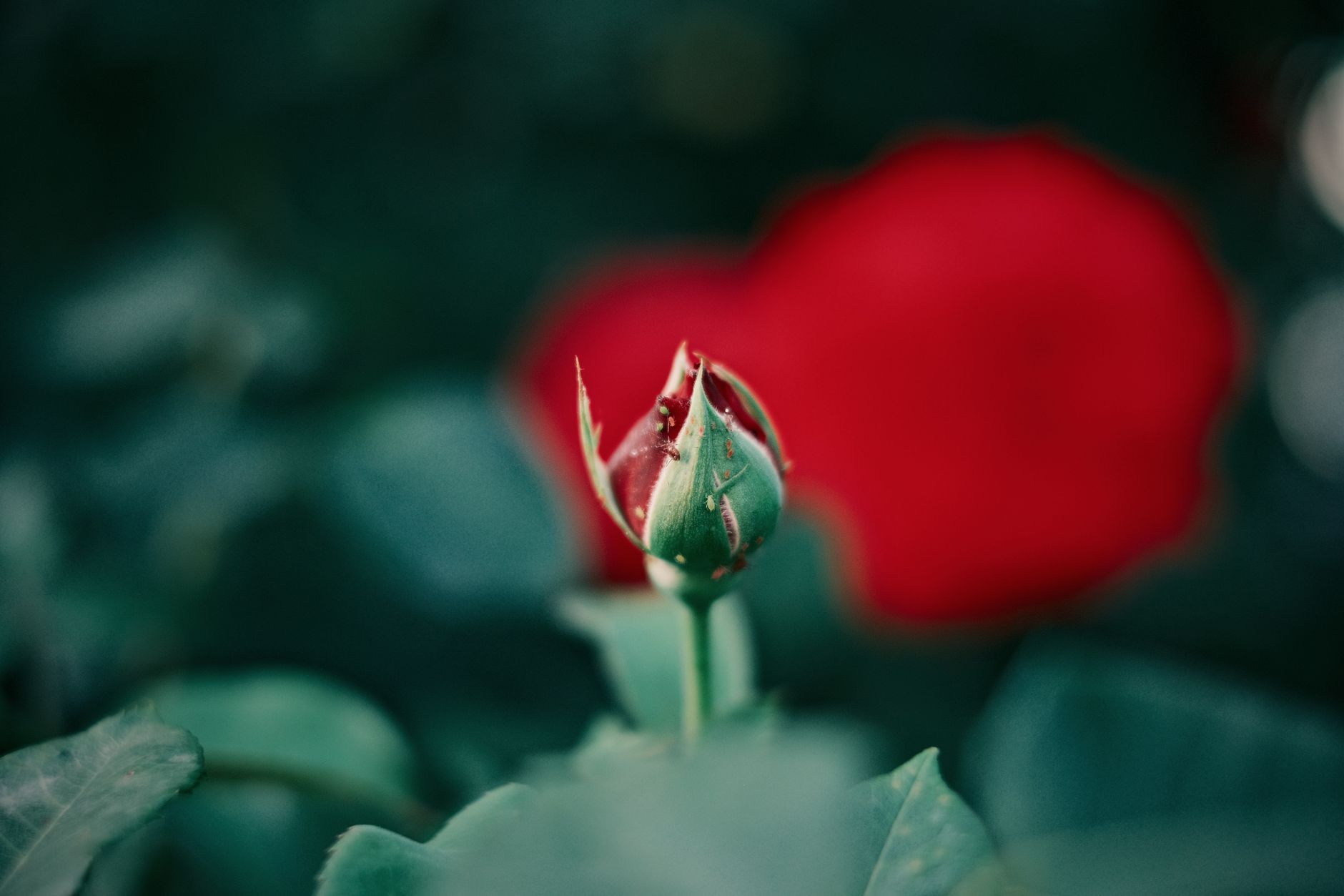 Photo by Emre Gencer on Unsplash