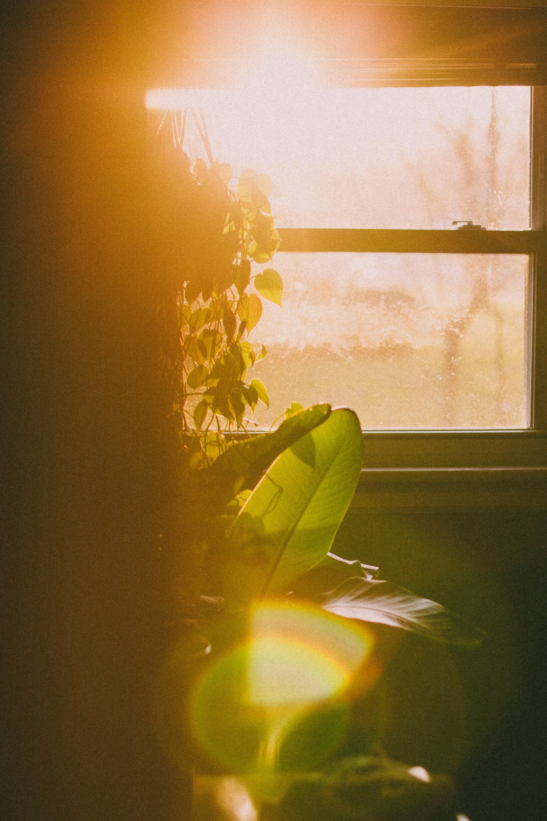 Photo by Zach Reiner on Unsplash