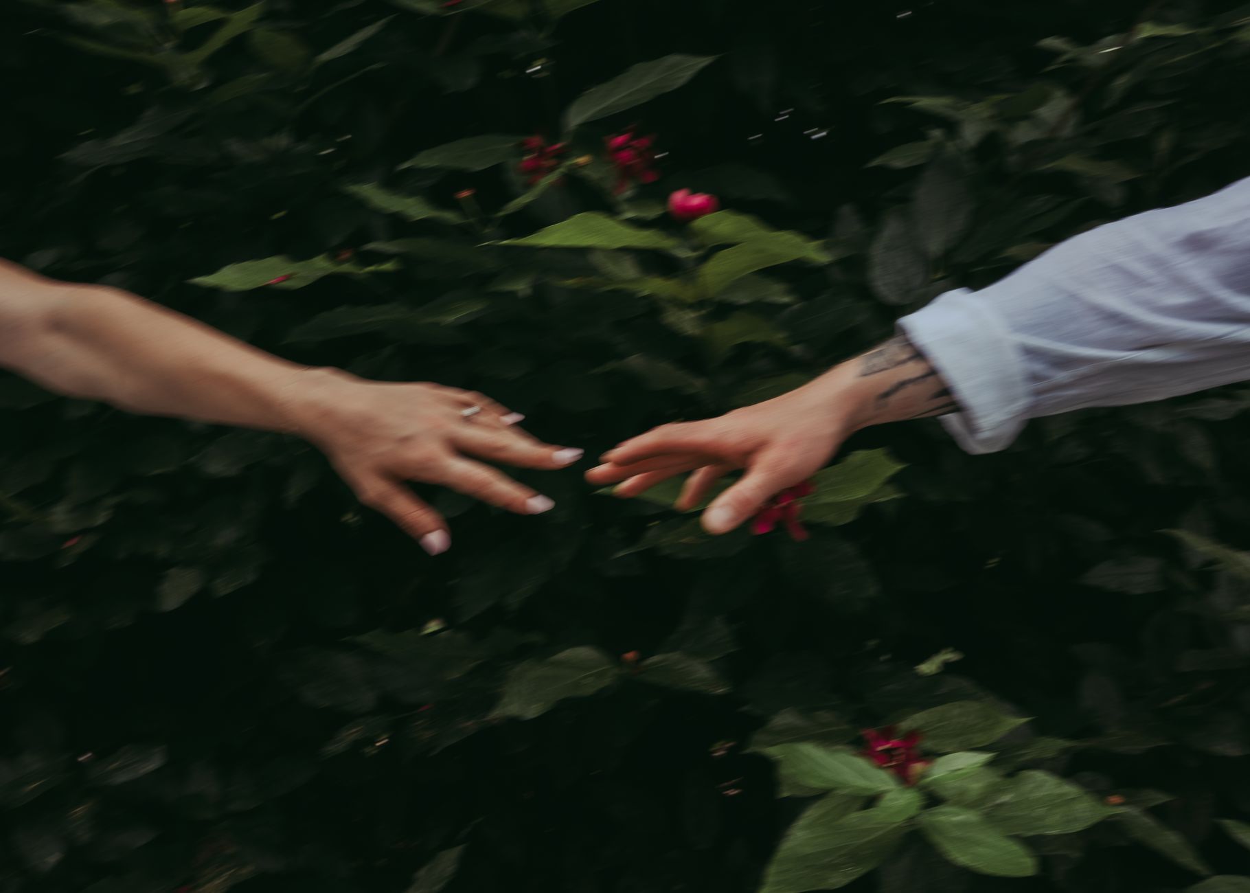Photo by Giulia Botan on Unsplash