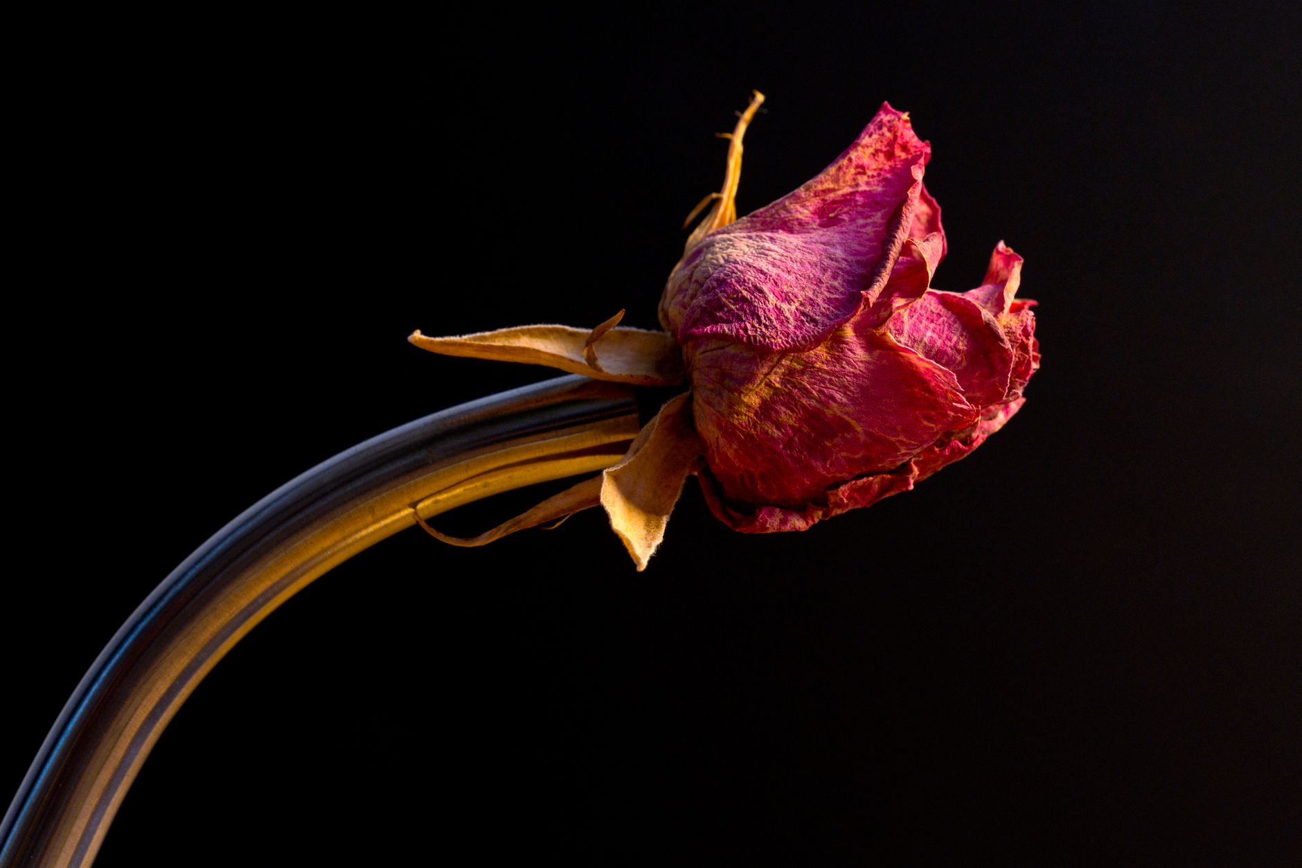 Photo by Fez Brook on Unsplash