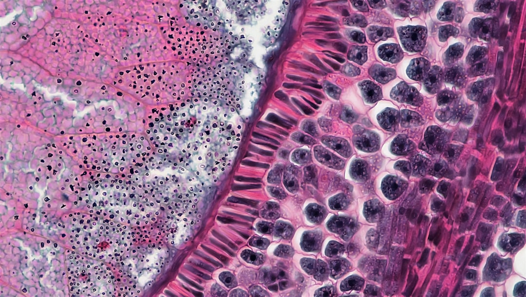 Photo by Bioscience Image Library by Fayette Reynolds on Unsplash
