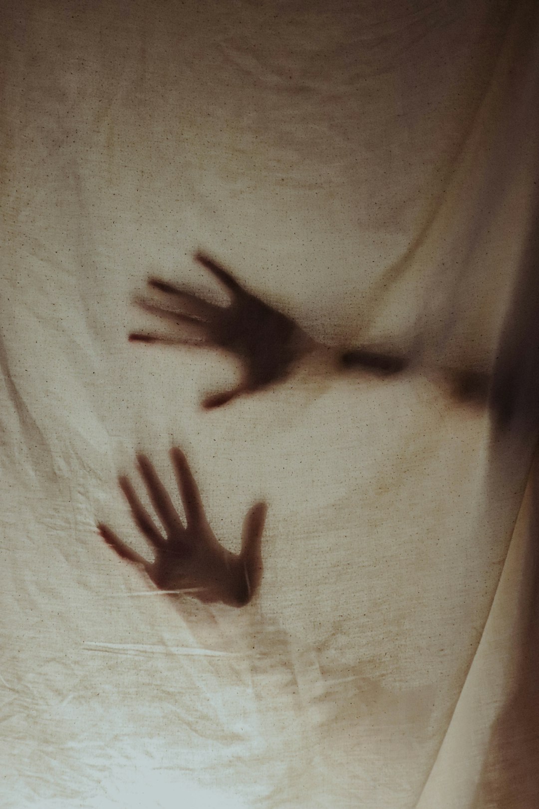 Photo by Crina Parasca on Unsplash