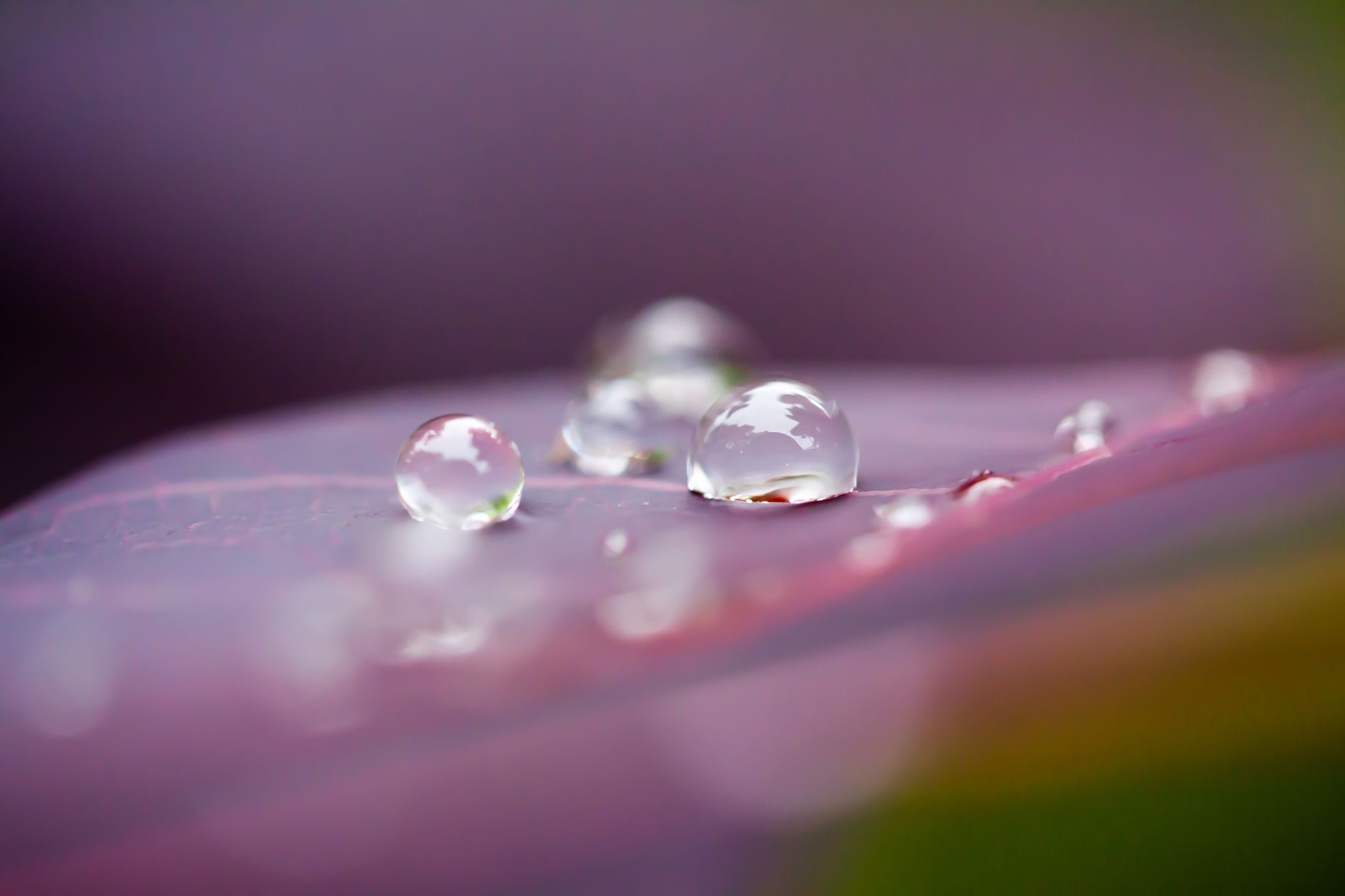 Photo by Manuel Bartsch on Unsplash