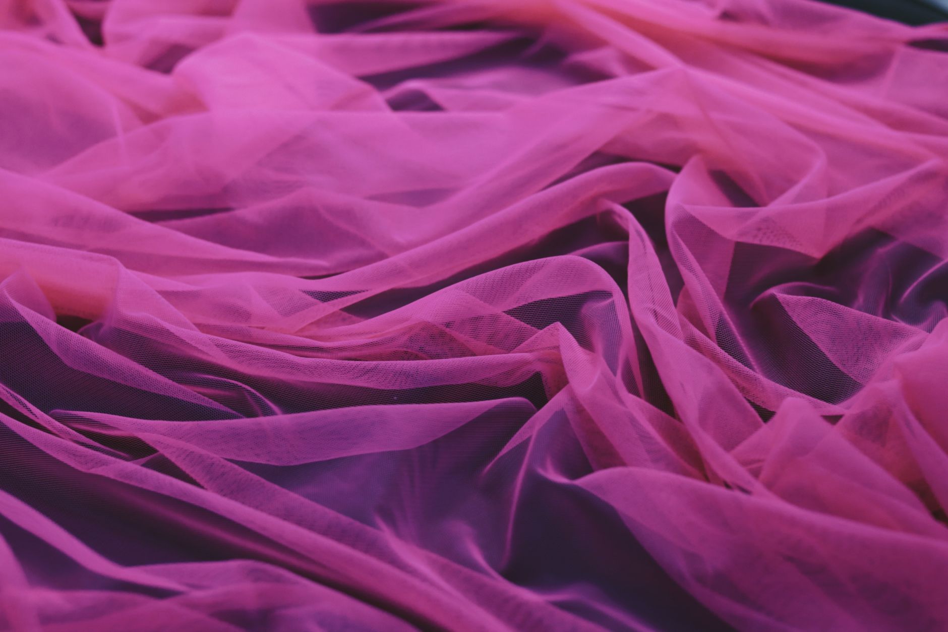 Photo by saaymee .. on Unsplash
