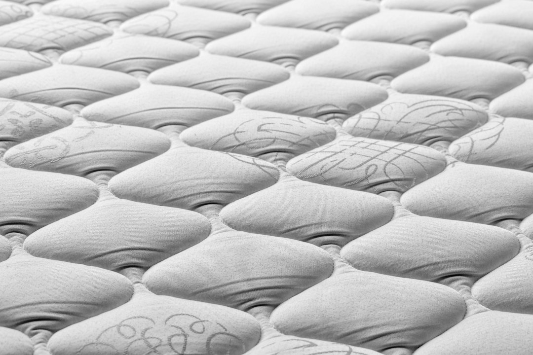 Fotó: Kathyryn Tripp, Unsplash