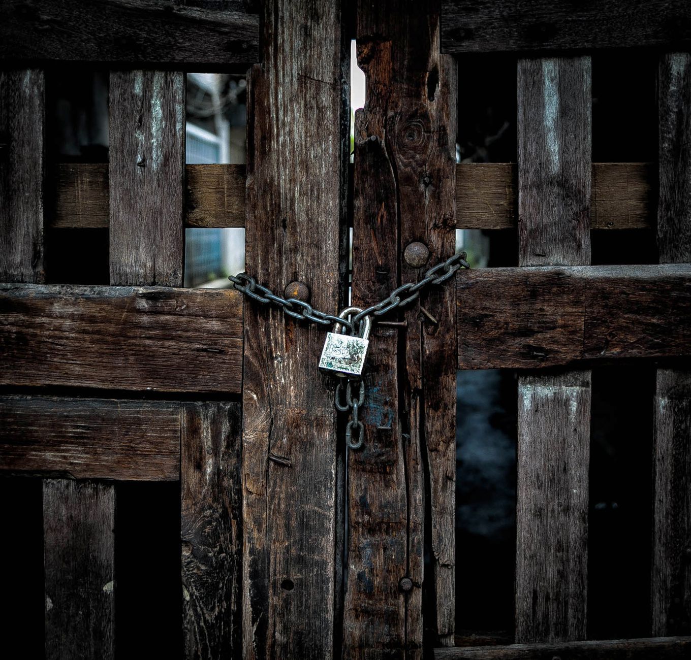 Photo by Wisnu Phaewchimplee on Unsplash