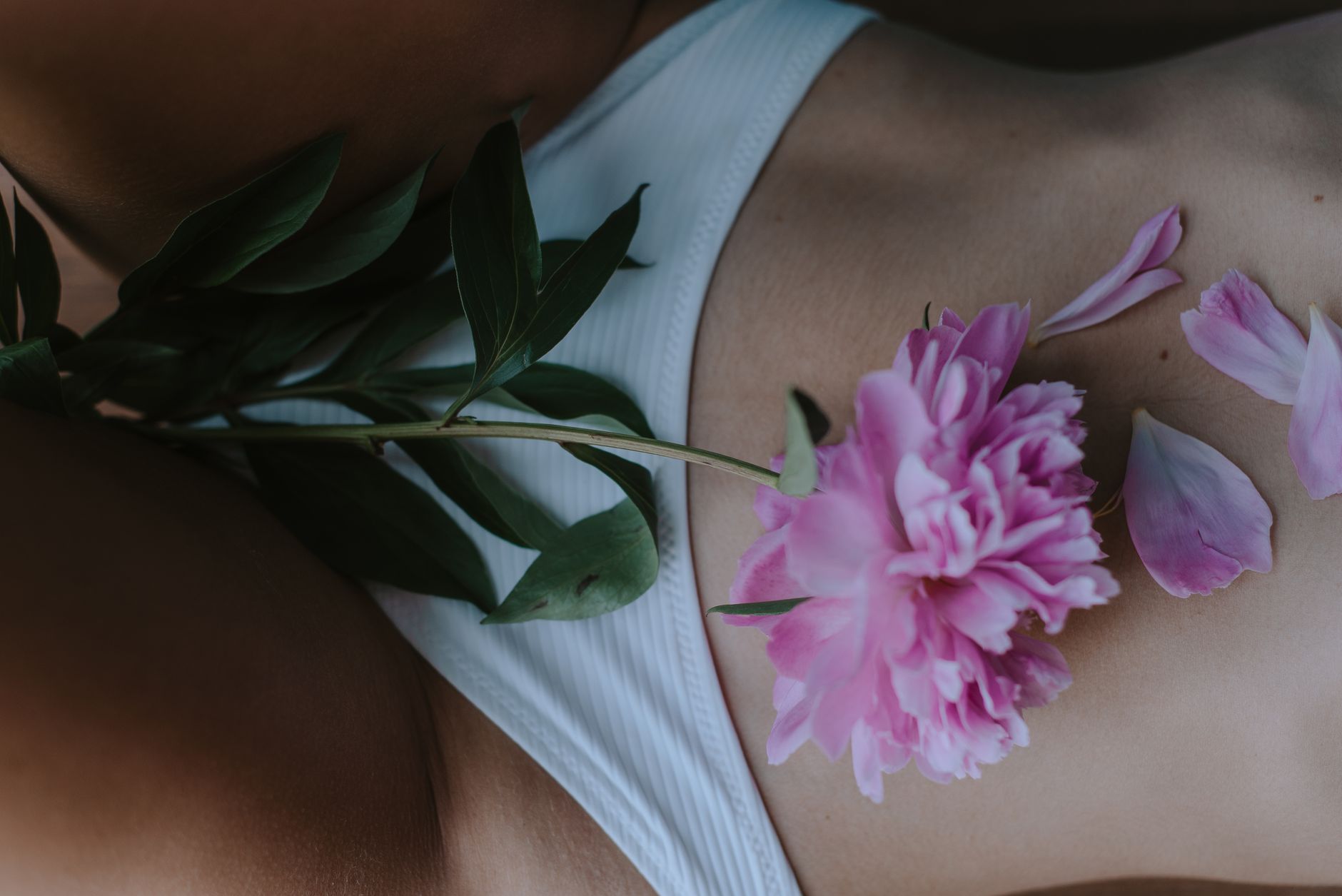 Photo by ROMAN ODINTSOV on Unsplash