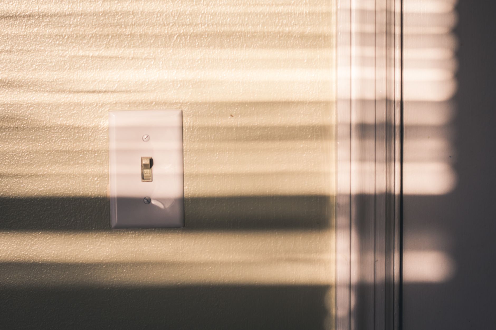 Photo by Steve A Johnson on Unsplash