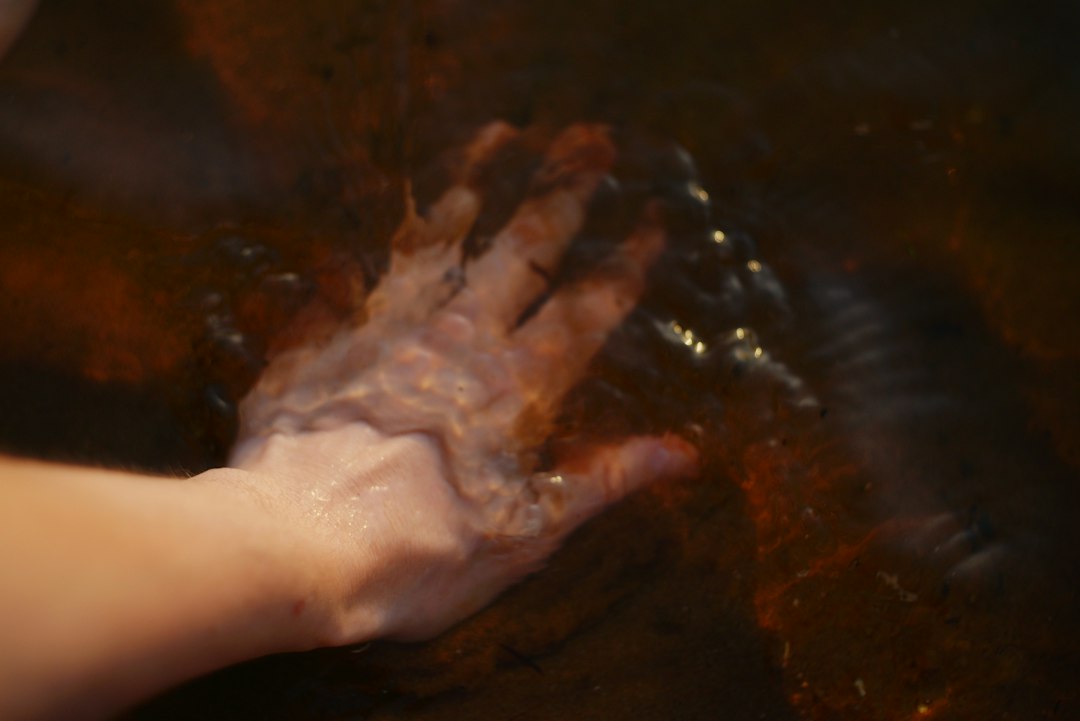 Fotografia de Liana S no Unsplash