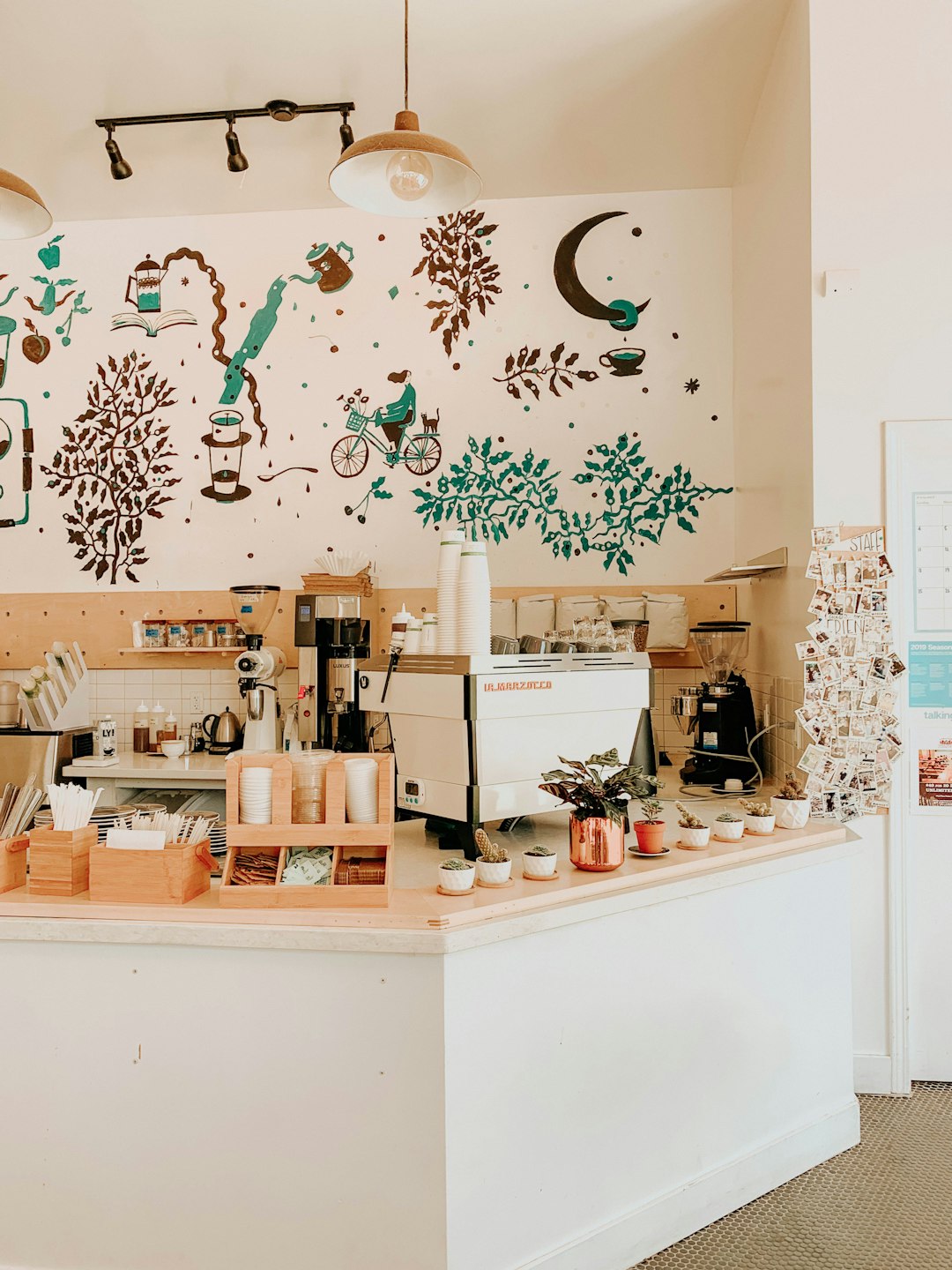 Photo by Daniela Araya on Unsplash