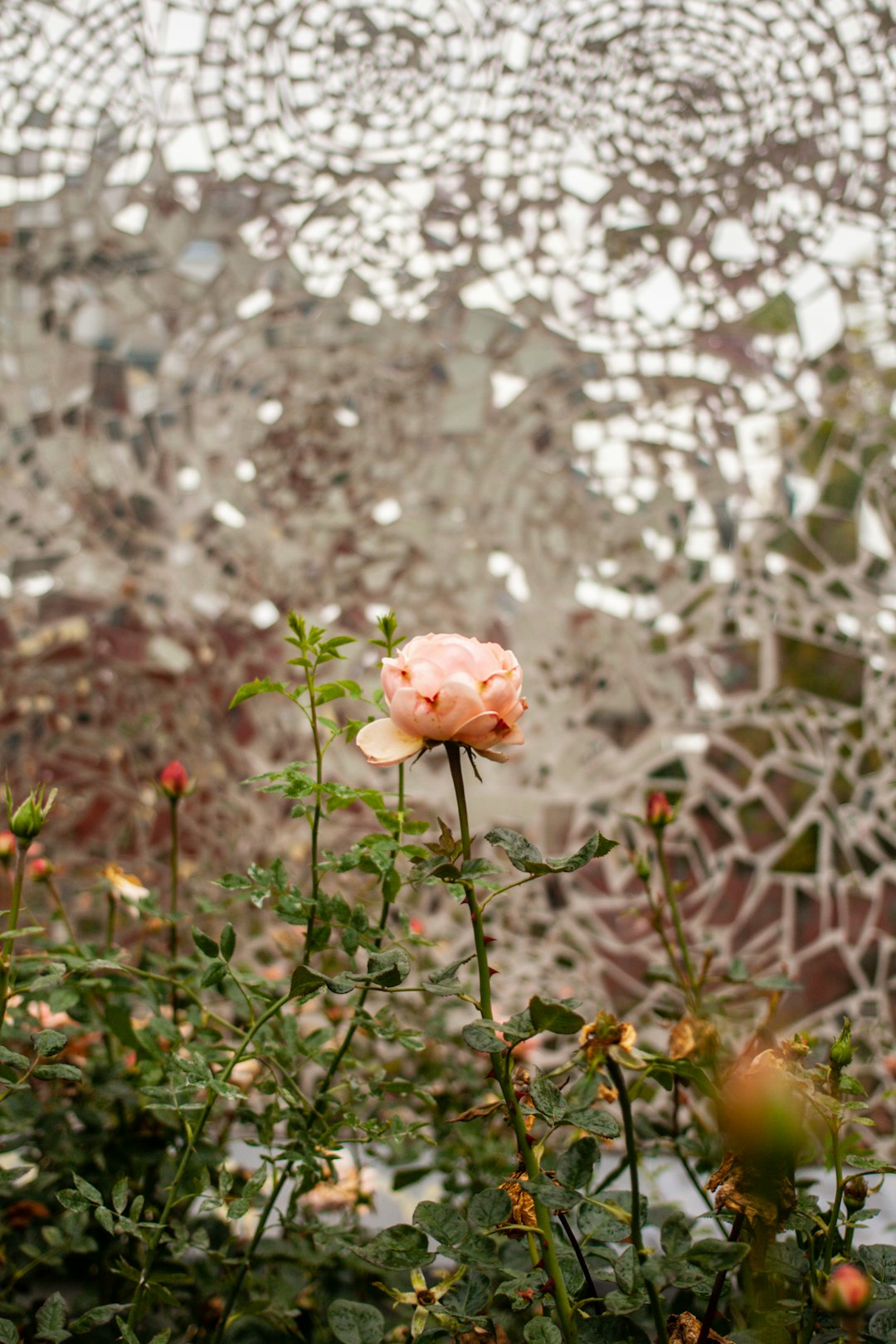 Photo by Irena Carpaccio on Unsplash