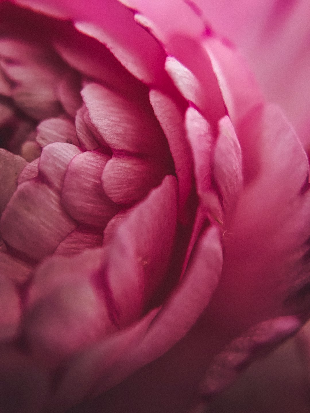 Photo by Fanning Tseng on Unsplash