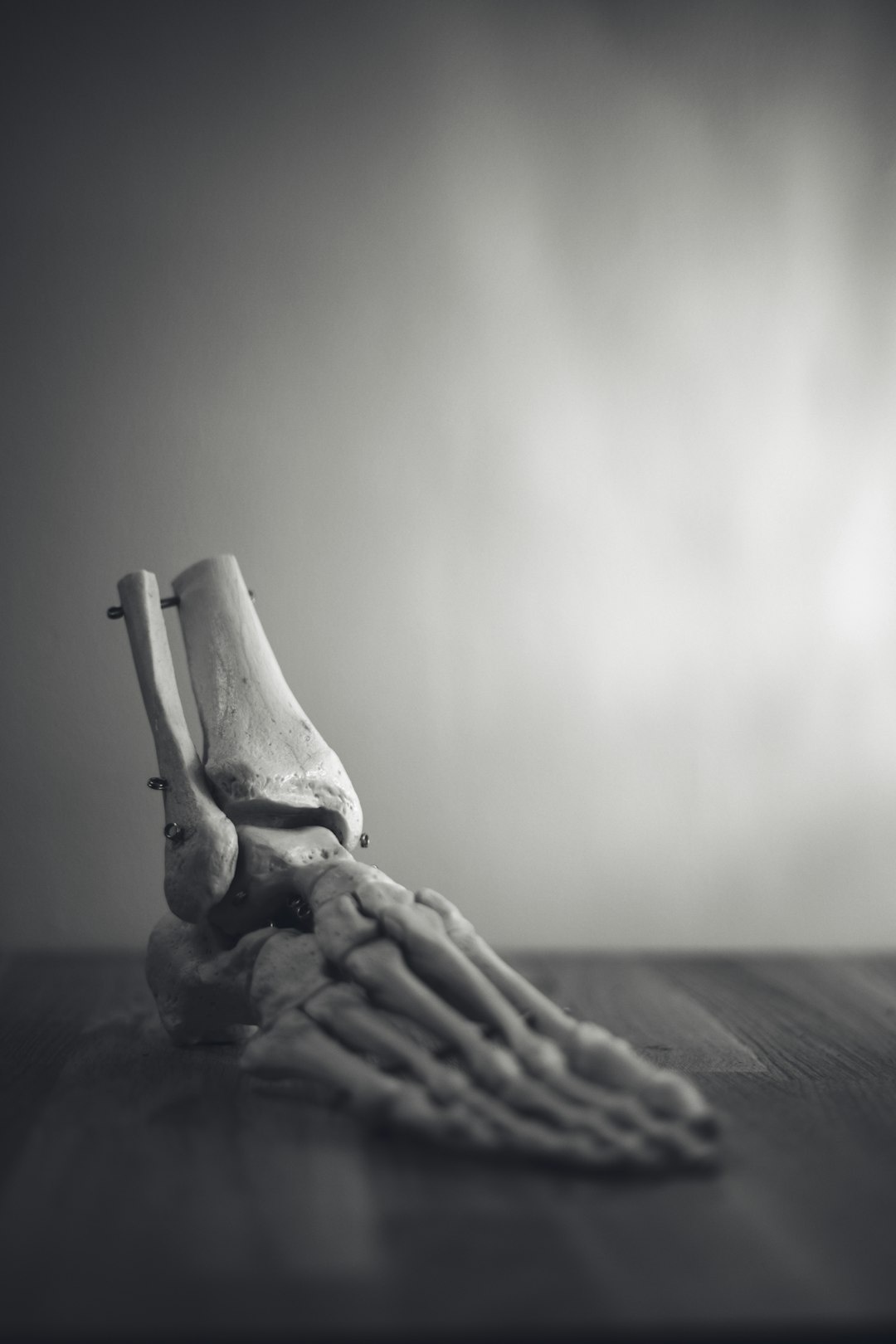 Photo by Otto Norin on Unsplash