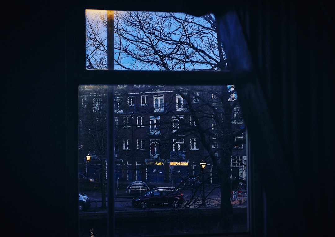 Photo by Raíssa de Paula on Unsplash