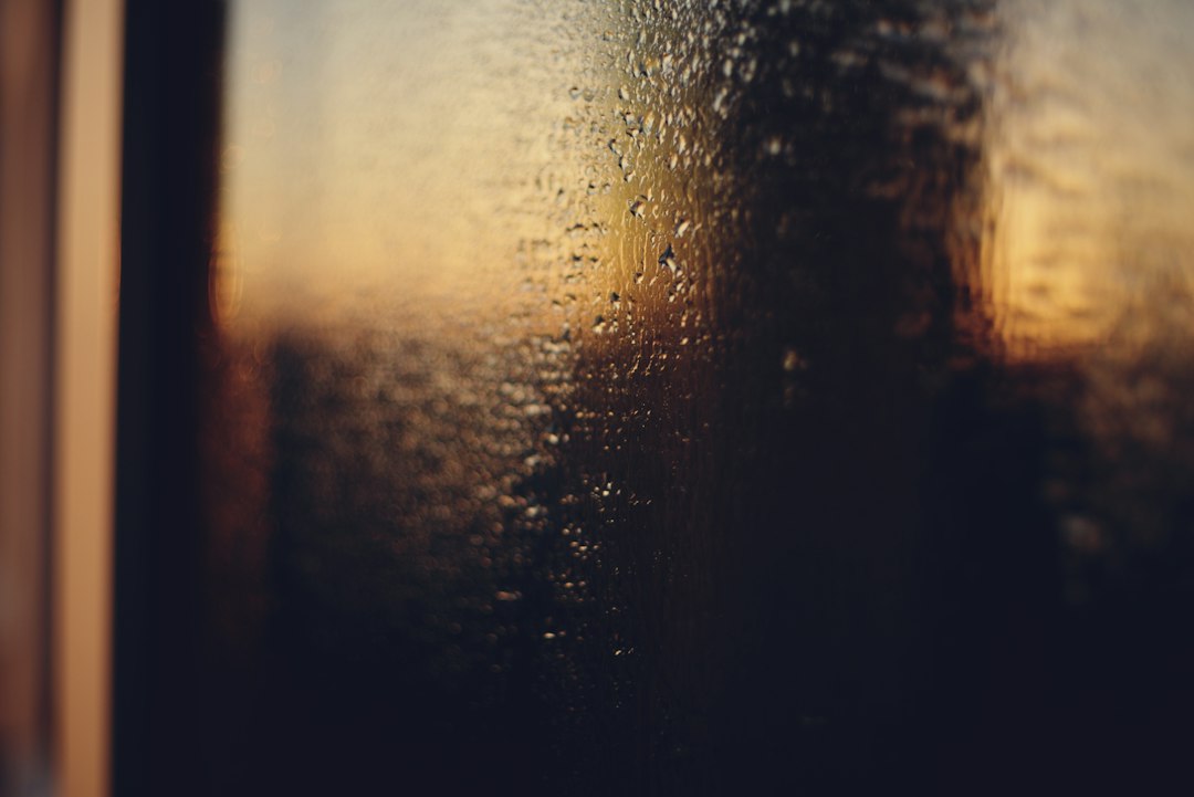Photo by Liana S on Unsplash
