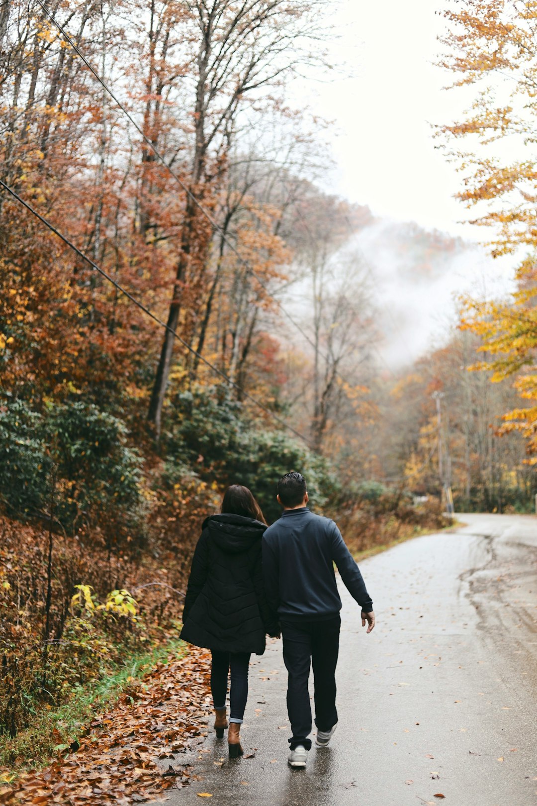 Photo by Amy Humphries on Unsplash