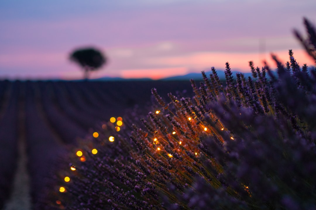 Photo by Artur Aldyrkhanov on Unsplash