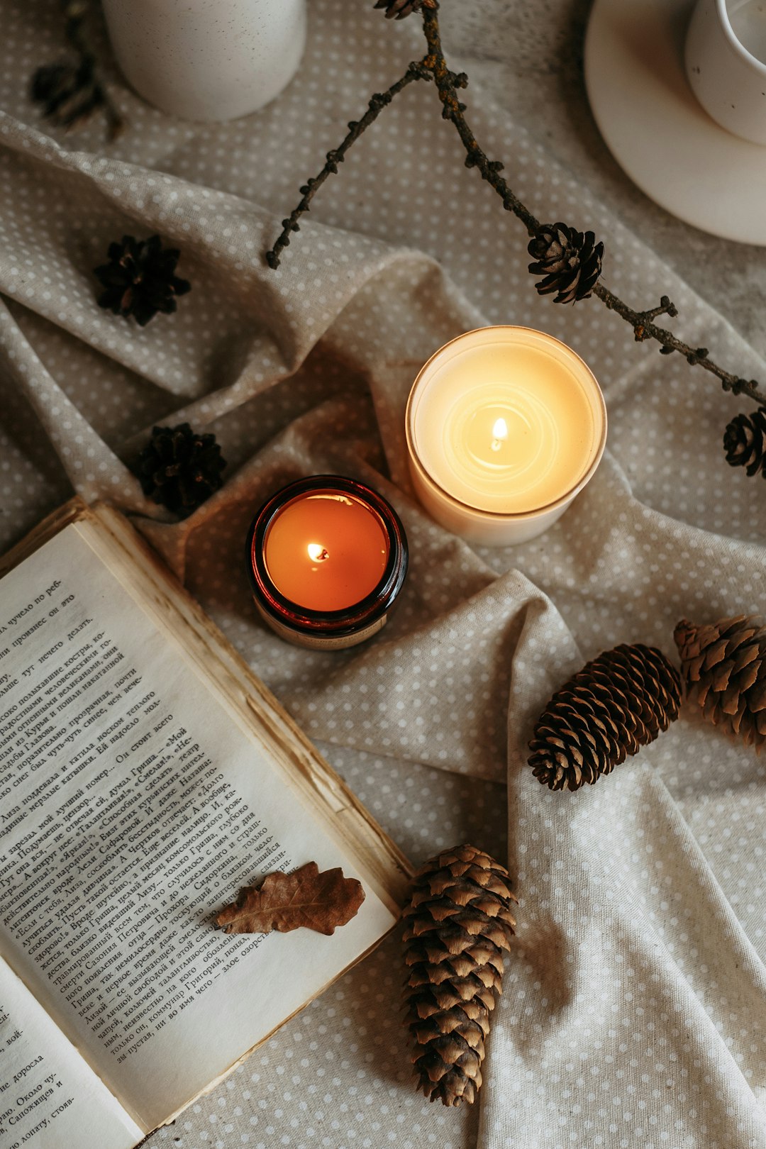 Photo by Kate Laine on Unsplash