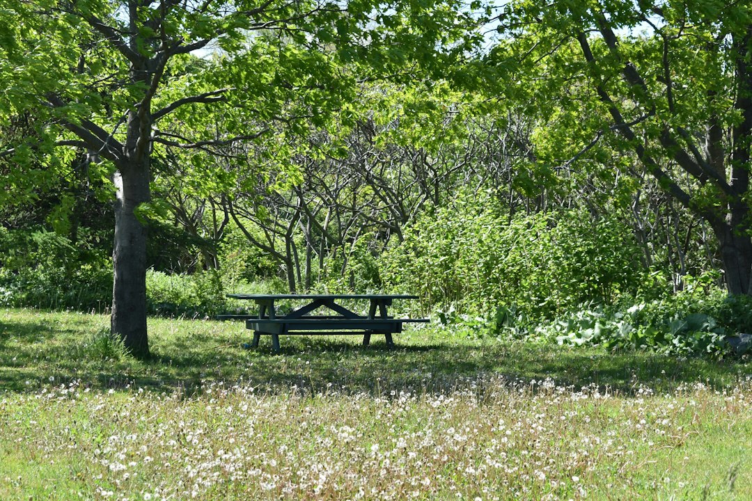 Foto de Jennifer R. no Unsplash