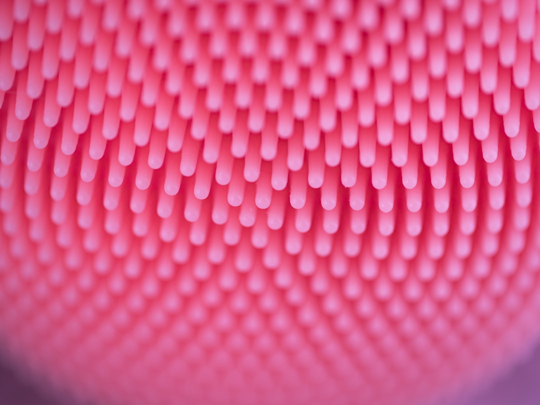 Photo by camera obscura on Unsplash