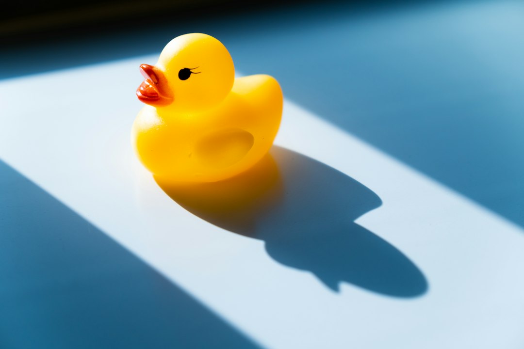 Fotografia de Se. Tsuchiya no Unsplash