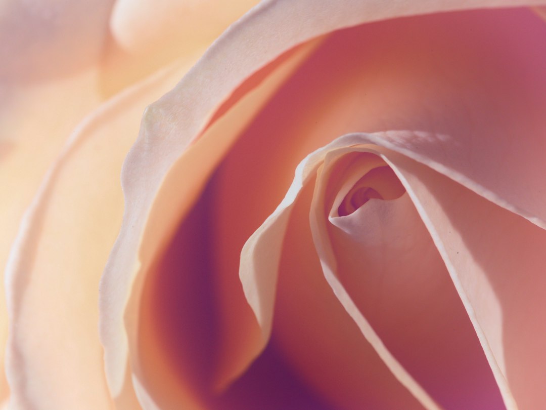 Foto av Azmarina Tanzir på Unsplash