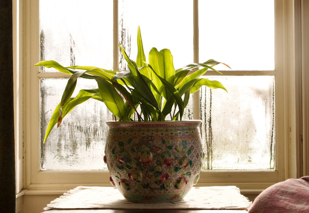 Photo by Nora Hutton on Unsplash