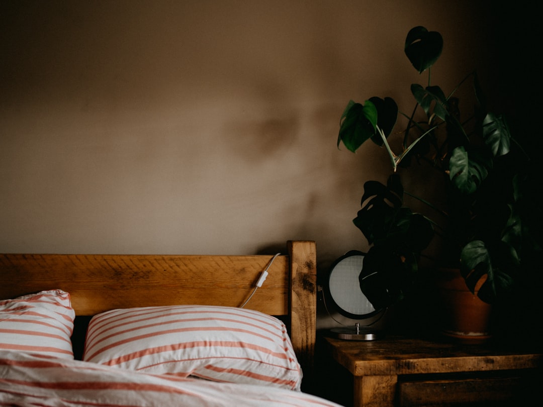 Photo by Annie Spratt on Unsplash
