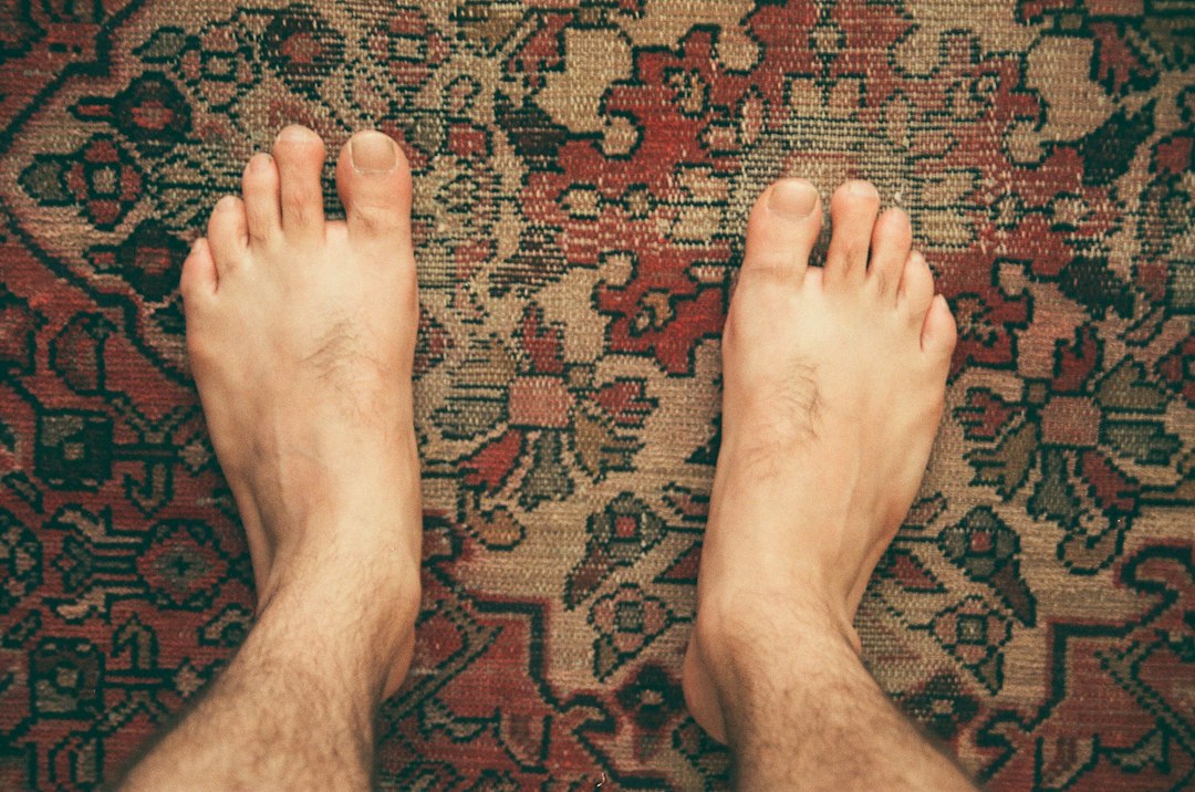 Foto de Mehrdad Jiryaee no Unsplash