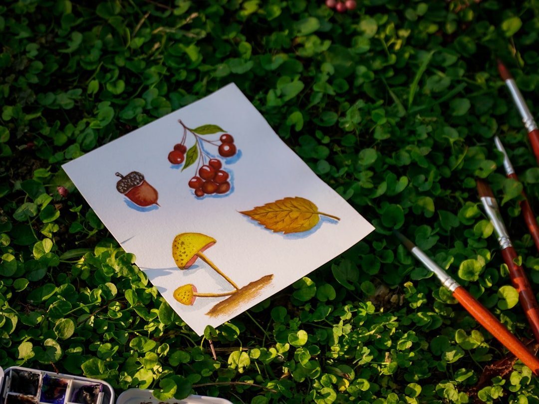 Photo by Yen Vu on Unsplash